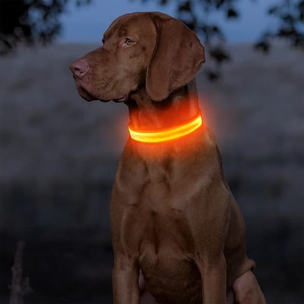 LED-halsband för hund – Uppladdningsbart reflekterande säkerhetshalsband