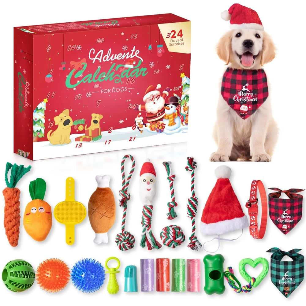 Hund Adventskalender 2025 – Repleksaker och tuggleksaker