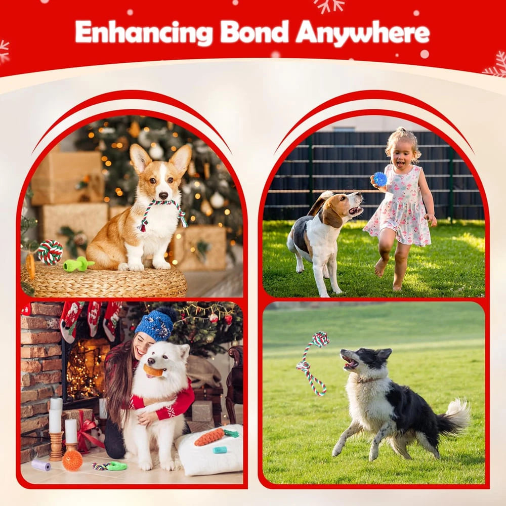 Hund Adventskalender 2025 – Repleksaker och tuggleksaker