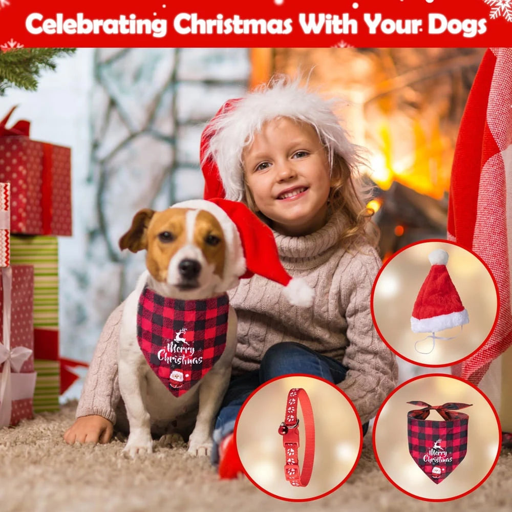 Hund Adventskalender 2025 – Repleksaker och tuggleksaker