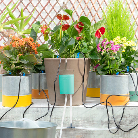 Smart Homes