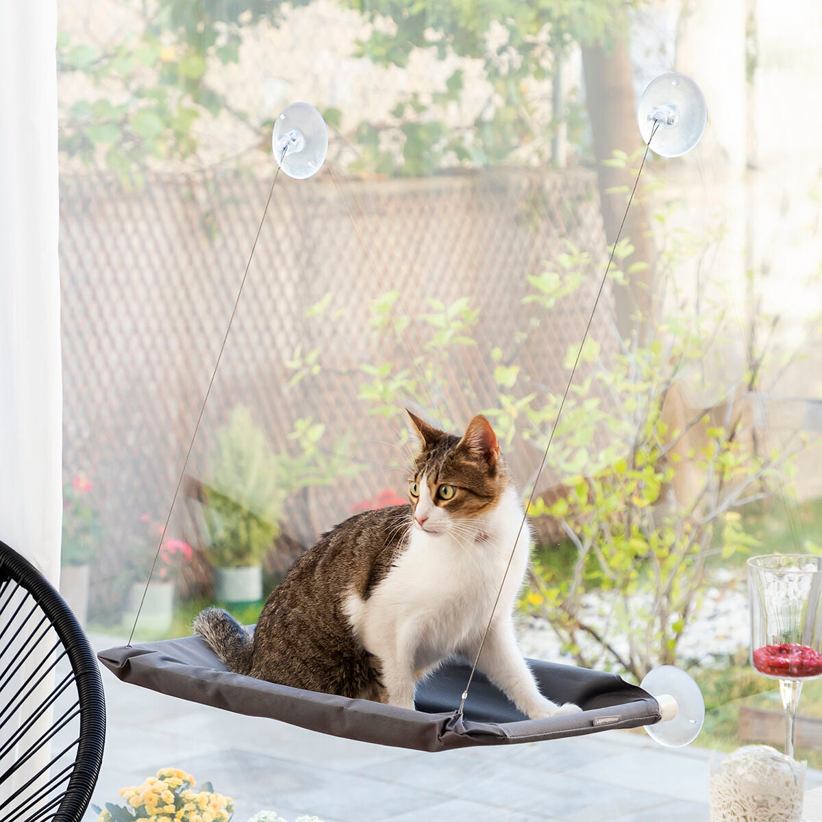 Hängmatta Fönster till Katt