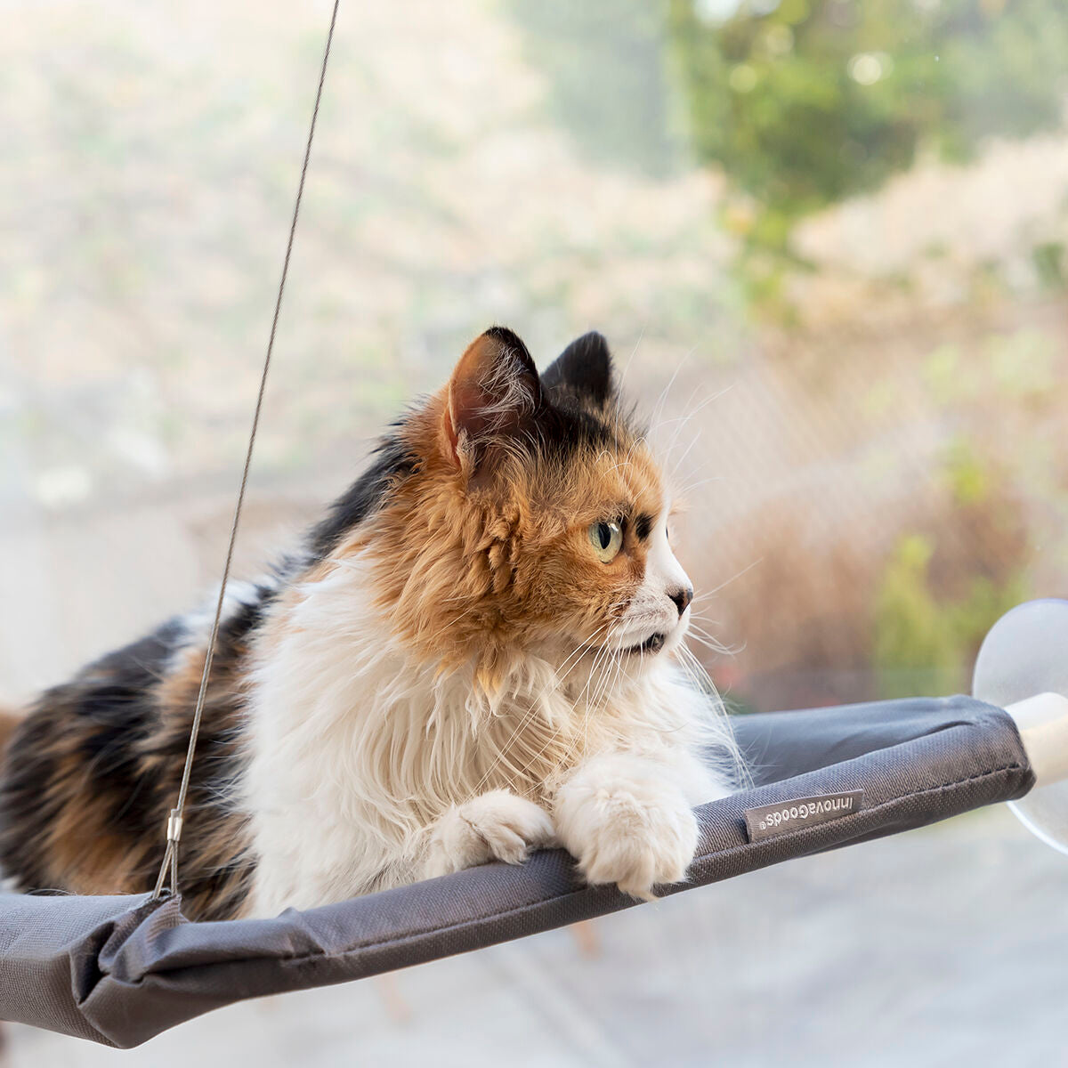 Hängmatta Fönster till Katt