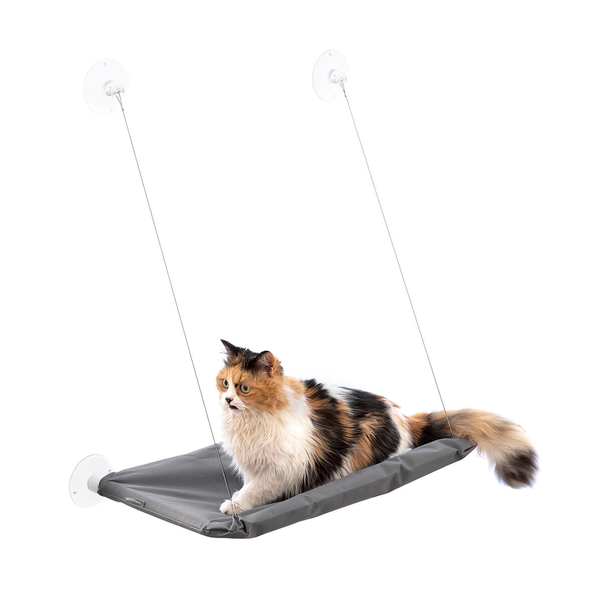 Hängmatta Fönster till Katt
