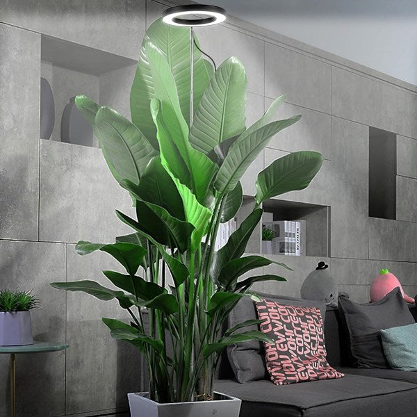 Fullspektrum LED Växtlampa – 42 LED-dioder med Timer Anpassning av belysning