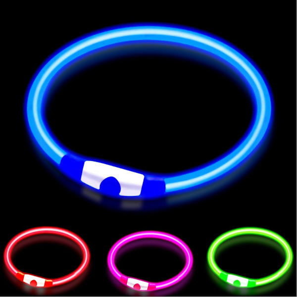 LED Hundhalsband – USB-laddningsbart Lyser starkt i mörker Öka säkerhet för ditt husdjur