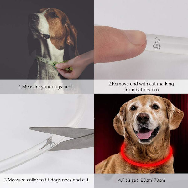 LED Hundhalsband – USB-laddningsbart Lyser starkt i mörker Öka säkerhet för ditt husdjur