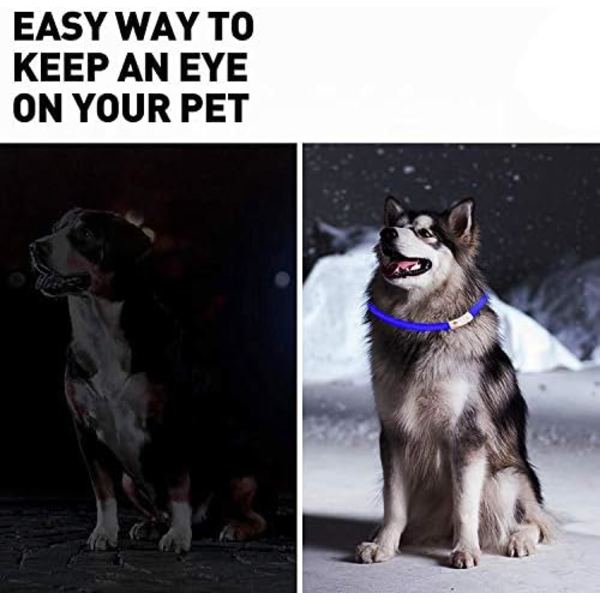 LED Hundhalsband – USB-laddningsbart Lyser starkt i mörker Öka säkerhet för ditt husdjur
